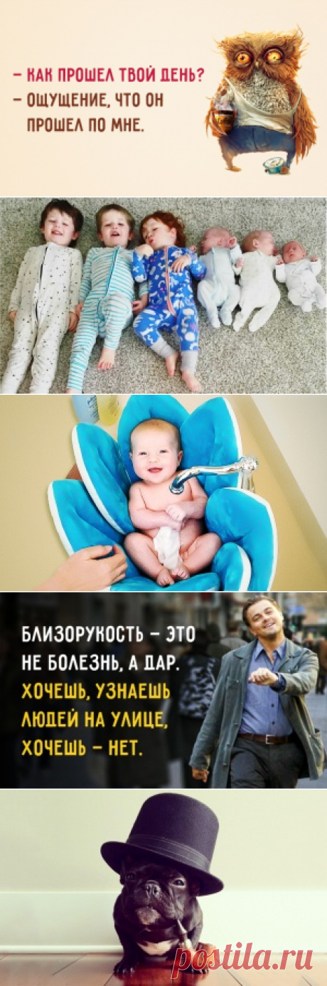 Болезнь под названием «Я занят»