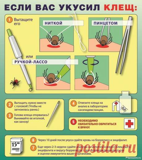 На заметку.