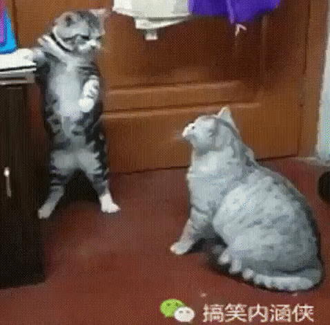 Google+