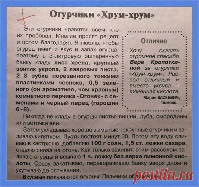 (3) Facebook