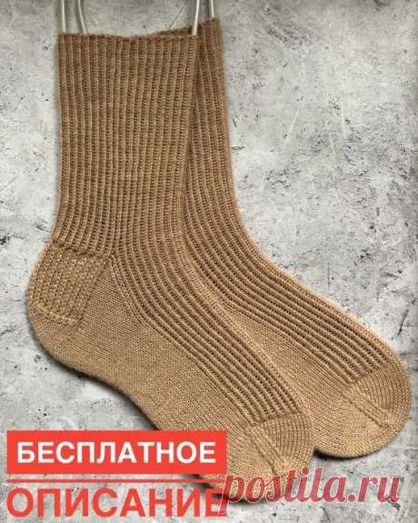 Дневник Зверобой