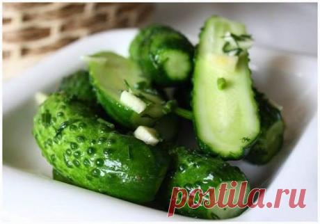 шеф-повар Одноклассники: Огурчики сухого посола