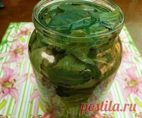 Здоровая печень — здоровый организм