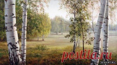 О чём говорили берёзы?
В тёплом весеннем лесу.
Бросая кудрявый взоры,
Наступающим в лето красу.
Из почек рождение листьев,
Убранство, надежду несёт.
Берёзовых радужных мыслей,
Весна в пробуждение зовёт.
Написано песен не мало,
Не мерено сложено слов.
Берёзу любовь прославляла,
Переливами строф и стихов.
Расправила плечи широкие!
Прославляя безмерную Русь.
Мать земля!Твои корни глубокие...
Дай берёза... Я ТЕБЕ ПОКЛОНЮСЬ!
Автор:Вяземский.