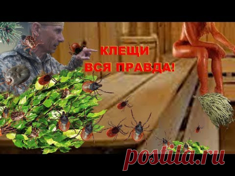 Клещи! Как Вам Врут! 100% Защита от клещей. Клещ укусил Как Выжить. Как вытащить клеща Вся Правда