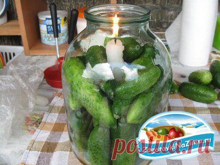 Свежие огурцы на зиму » Кулинарные рецепты домашней кухни, фото-рецепты / Кулинарная Копилка