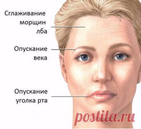 Упражнения для коррекции асимметрии лица Экология здоровья: Данный блок упражнений направлен на коррекцию возрастных изменений лица, а также для избавления от лицевой асимметрии. При выполнении этих упражнений не применяйте силу. Если Вы почувствуете боль, немедленно прекращайте. Если перед началом упражнений у Вас плохое самочувствие – не делайте упражнений.