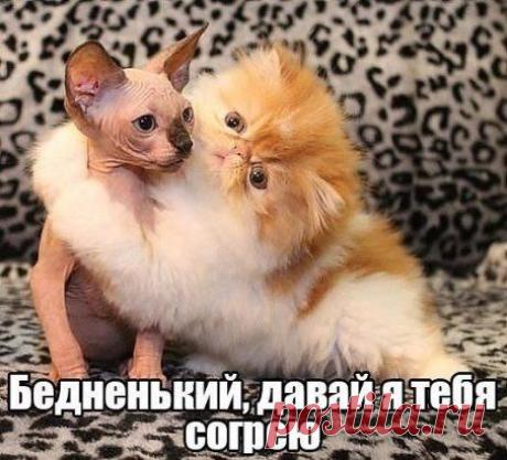 Заходи к нам в группу и узнаешь ещё больше.