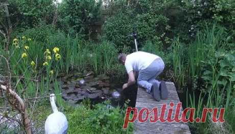 Круто...