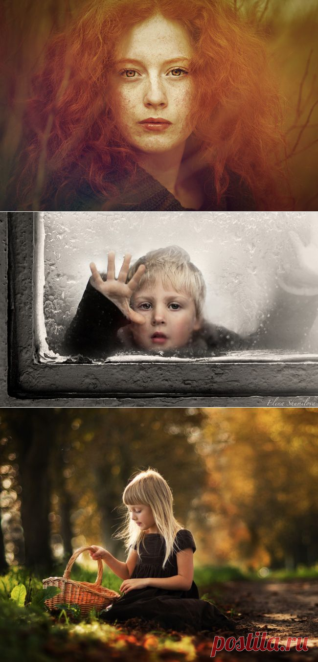 Такая разная осень