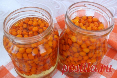 Что можно приготовить из облепихи на зиму: 15 лучших рецептов