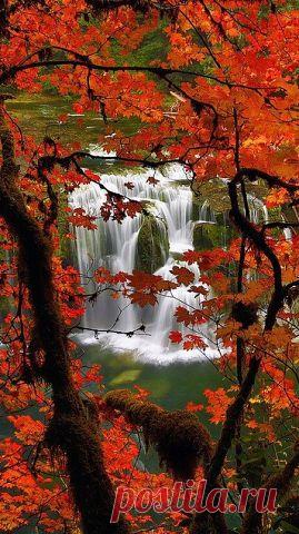 Вышивка из Китая и аксессуары
26 лет, Россия, Москва
все его фото