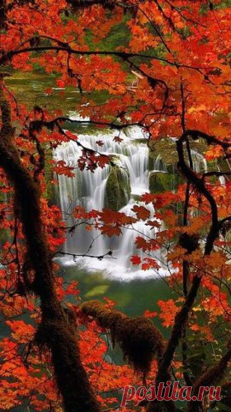 Вышивка из Китая и аксессуары
26 лет, Россия, Москва
все его фото