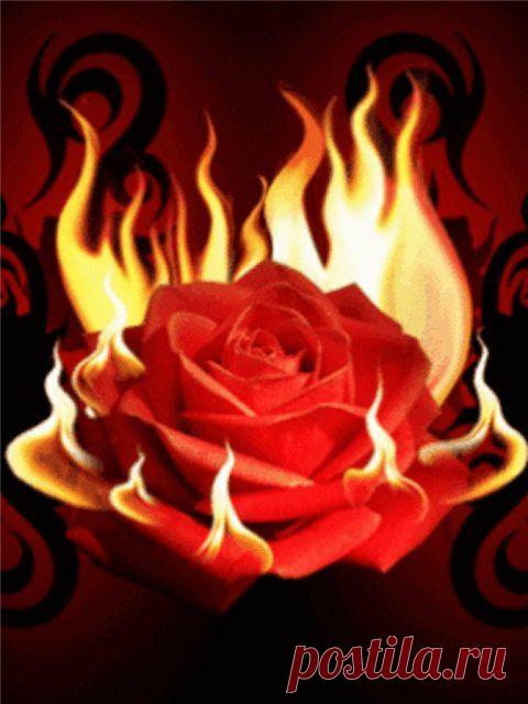 Смычка заслушавшись, тоскливо
Волна горит, а луч померк,-
И в тени душные залива
Вот-вот ворвется фейерверк.