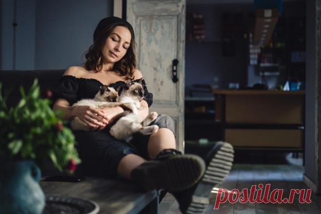 Кошка внезапно худеет? Какие могут быть серьезные причины.
Большинство владельцев домашних животных обеспокоены тем, что их кошка теряет, а набирает его. Особенно это озадачивает, если кажется, что кошка похудела, несмотря на хороший аппетит. Непреднамеренная потеря веса у кошек может указывать на проблему, требующую внимания.
Изображение от ArthurHidden на Freepik