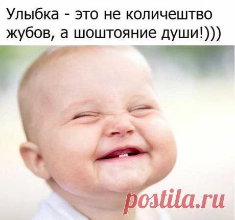 Анекдоты дня