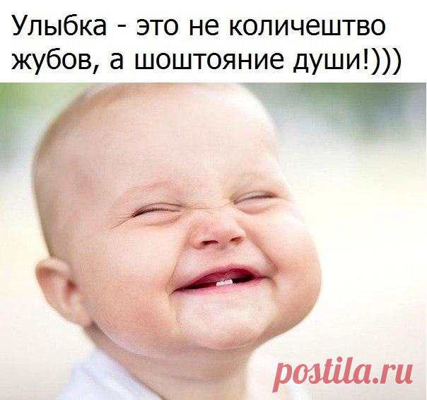 Анекдоты дня