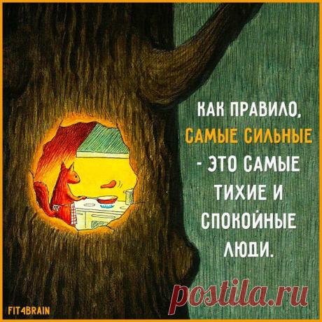 цитаты