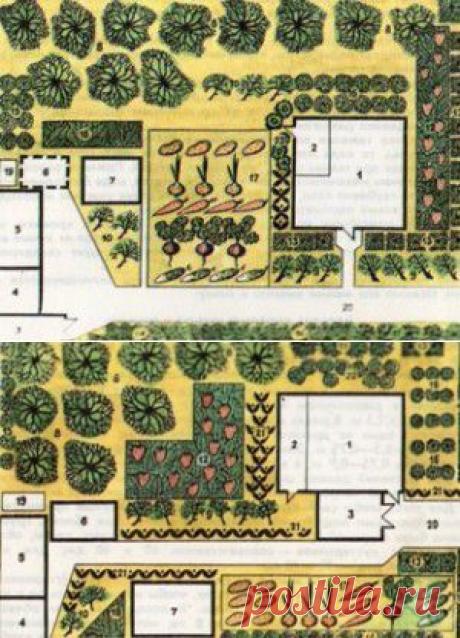 Как распланировать дачный участок. | Загородная жизнь. Дачи