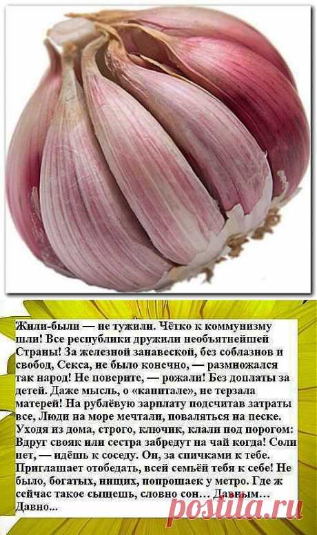(55) Одноклассники