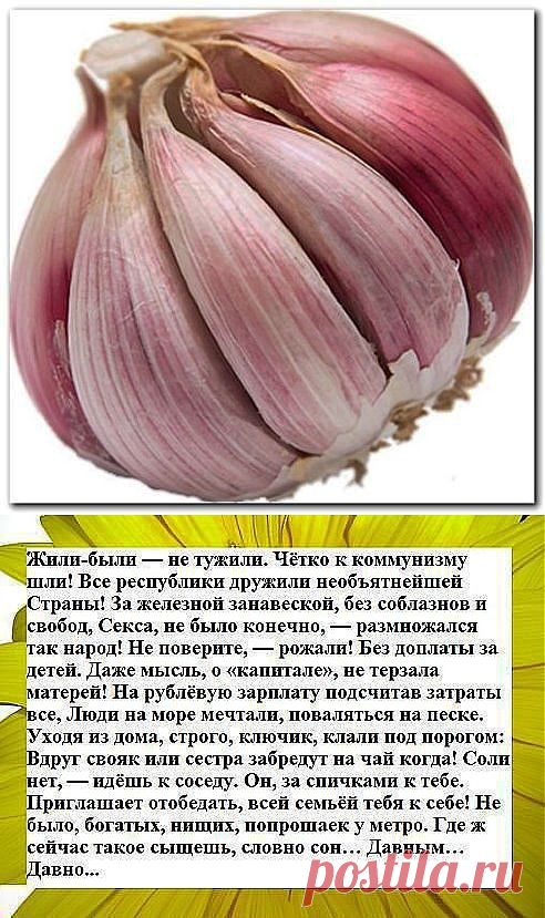 (55) Одноклассники