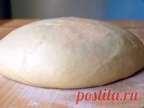 Тесто, из которого всегда получается удачная выпечка

Ингредиенты на 10 порций:
- 1 стакан молока (теплого)
- 2 столовые ложки сахара
- 2 чайные ложки сухих дрожжей (1 пакетик 7 г)
- 500 г муки
- 200 г сливочного масла (или маргарина)
- 2 яйца

Приготовление:
1. Положите в молоко пакетик дрожжей. Добавьте туда 2 столовые ложки сахара (обязательно!!!). Размешайте сахар и дрожжи, чтобы сахар растворился, а дрожжи смешались с молоком.
2. Поставьте мисочку с дрожжами в тёплое ...