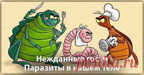 Симптомы наличия паразитов в организме человека