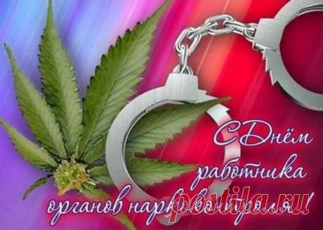 Поздравляю с Днём работника органов наркоконтроля и пожелать хочу безопасности и бдительности.