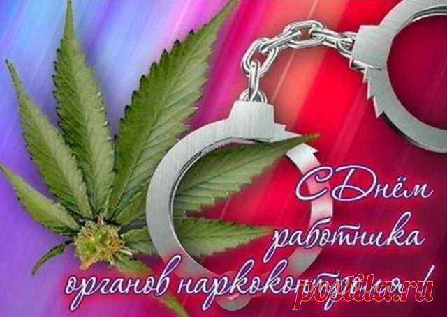Поздравляю с Днём работника органов наркоконтроля и пожелать хочу безопасности и бдительности.