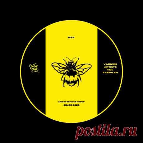 VA - ADE Sampler NSS225 » MinimalFreaks.co