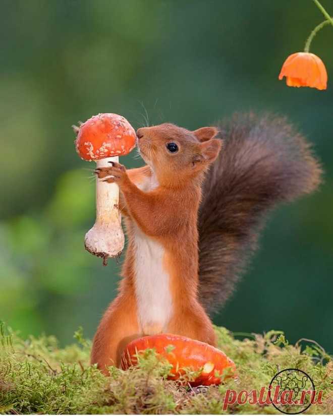 Мой Мир@Mail.Ru