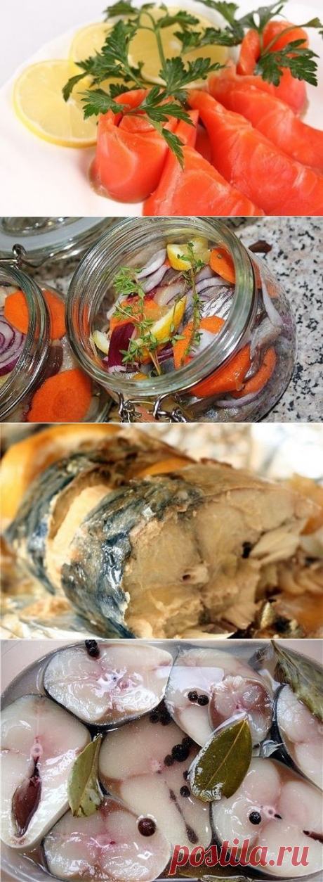 МАРИНАДЫ ДЛЯ РЫБЫ !!!  **Соленая рыбка –любимый деликатес. Это множество блюд, и обычный бутерброд  -в настоящий праздник вкуса! *Вкусных 9 рецептов: Красная рыба -семга, форель, кета, горбуша. Сельдь или скумбрия -за 2ч. Скумбрия с сыром. Сельдь с морковью. Скумбрия. Сельдь с кетчупом. Сельдь в ябл/уксусе. Рыба копченая домашняя -с луком и чаем. Горбуша м/с -под сёмгу.