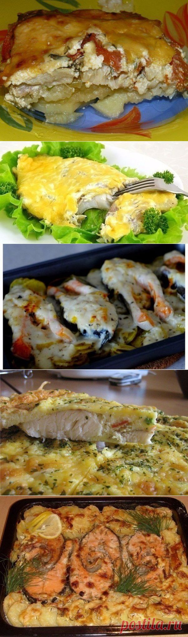 Полезная рыбка - на заметку! | Четыре вкуса