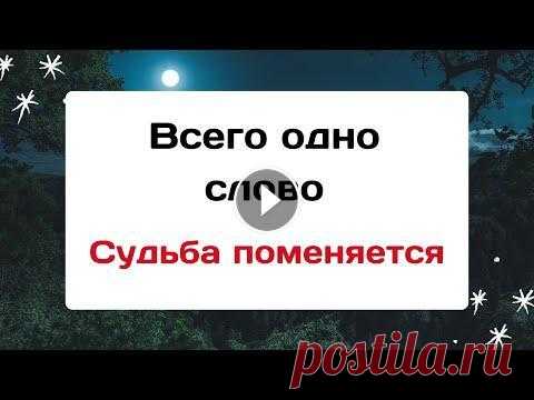 Всего одно слово - Судьба поменяется. Приветствую всех зрителей и подписчиков на своём канале. Сегодня мы с вами поговорим о том, как очень важно быть благодарным, за то, что есть у вас. К...