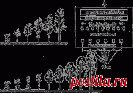 Вертикальный сад. Сад своими руками. Вертикальные грядки. Конструкция вертикального интенсивного сада, огорода, виноградника, ягодника.