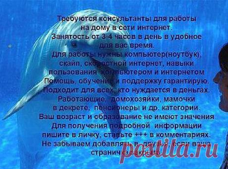 Всю подробную информацию можно узнать на