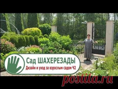 Видео журнал "СОФ №105" "Сад ШАХЕРЕЗАДЫ" Дизайн и уход за взрослым садом. ЧАСТЬ 2
