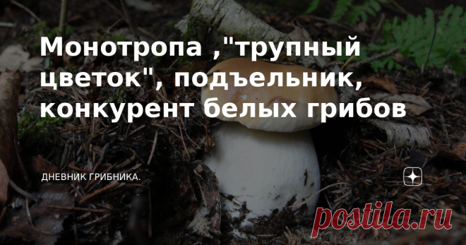 Монотропа ,