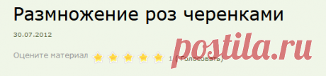 Размножение роз черенками