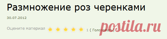 Размножение роз черенками