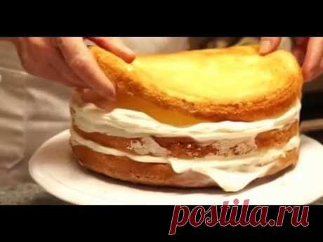 Бисквит для торта. Бисквит рецепт. Бисквитный торт с кремом. Торт из бисквитных коржей