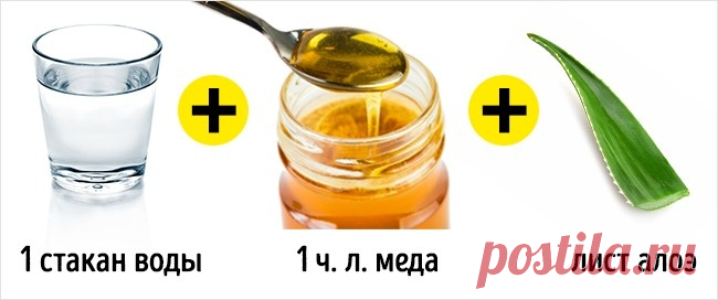 5 свойств алоэ, ради которых стоит посадить его дома