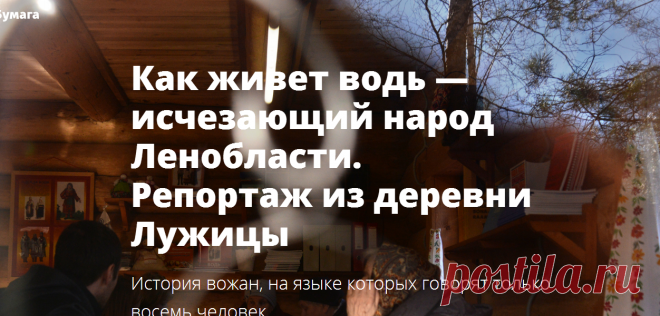 Как живет водь — исчезающий народ Ленобласти. Репортаж из деревни Лужицы. Интернет-газета «Бумага»