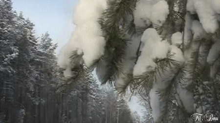 s-36762.gif (450×253)