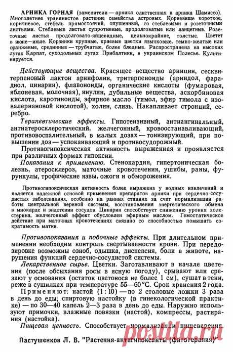 Арника горная