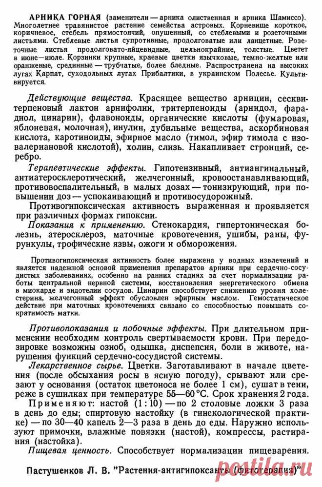 Арника горная