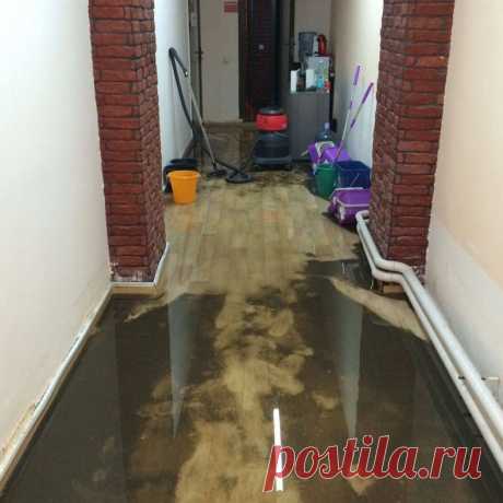 🧼 Клининговые услуги по уборке квартир, офисов, технических помещений
🔟 Большой опыт работ 🙇 Ответственность за порчу 💝 Приятные цены
🌍 Работаем по всей Москве и Московской области 📞 +7(969)022-34-60