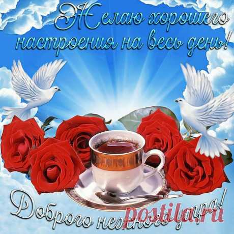 (14) Зина Таирова