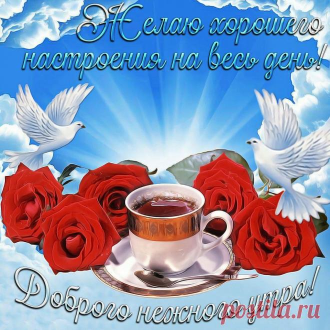 (14) Зина Таирова