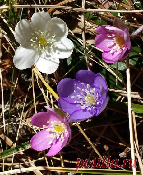 Cristina Rodriguez Fernandez